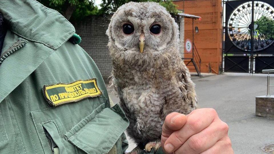    Фото: пресс-служба Комитета по природопользованию