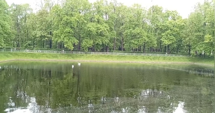 Водоем в Летнем саду.