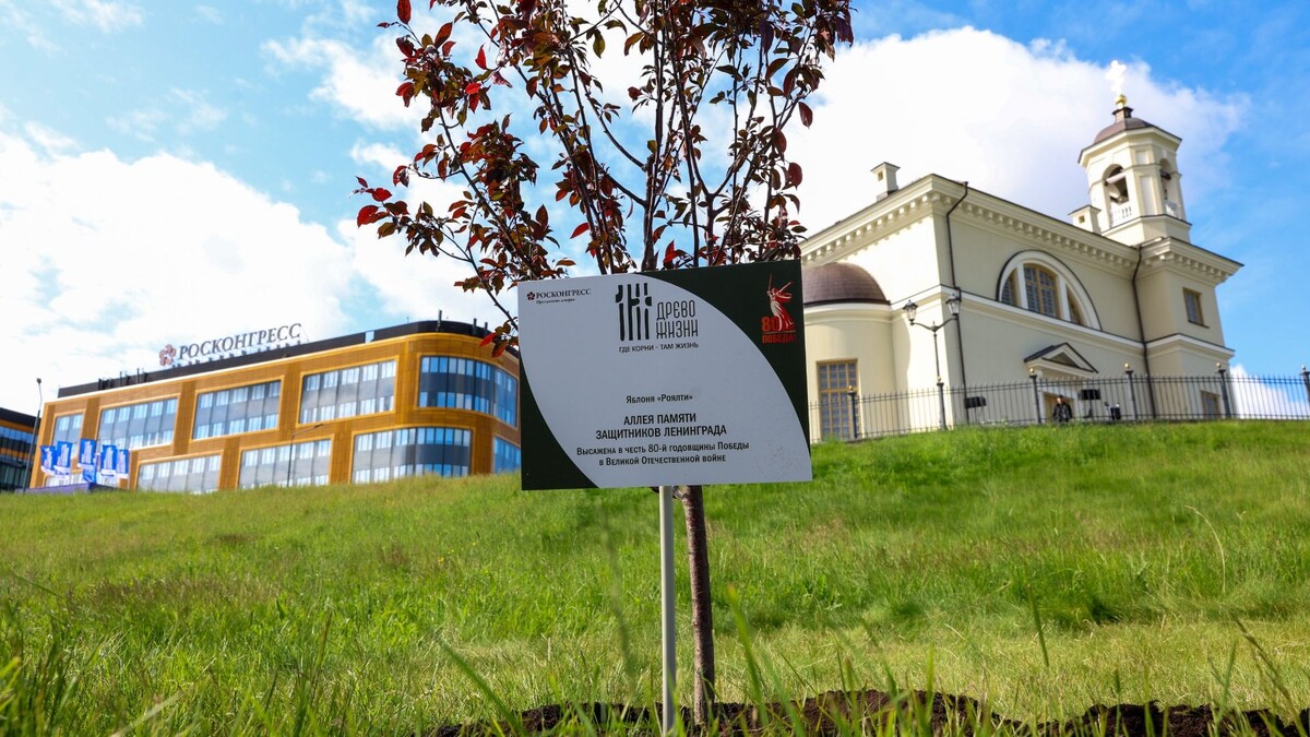     Источник: МАЕР