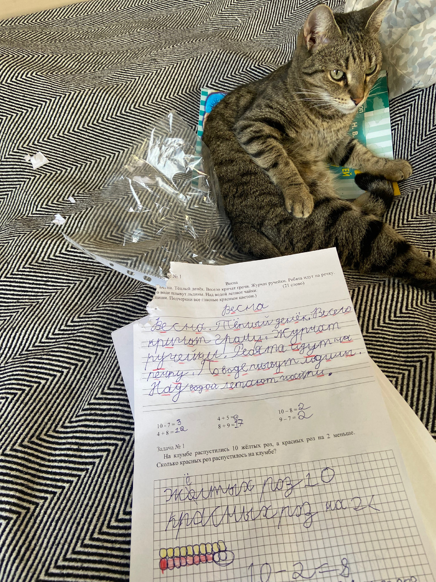 Кошелька помогает по всем фронтам. Даже утилизирует выполненные работы 