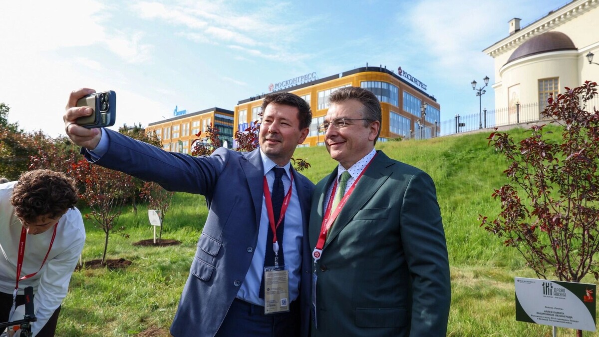     Источник: МАЕР