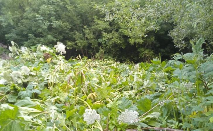    Фото: Мэрия г.Курска