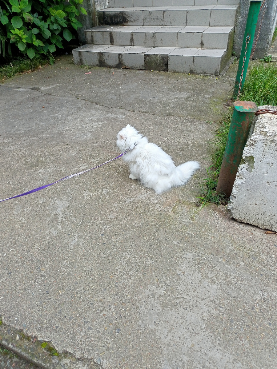 Фото автора. Та самая Валюта.