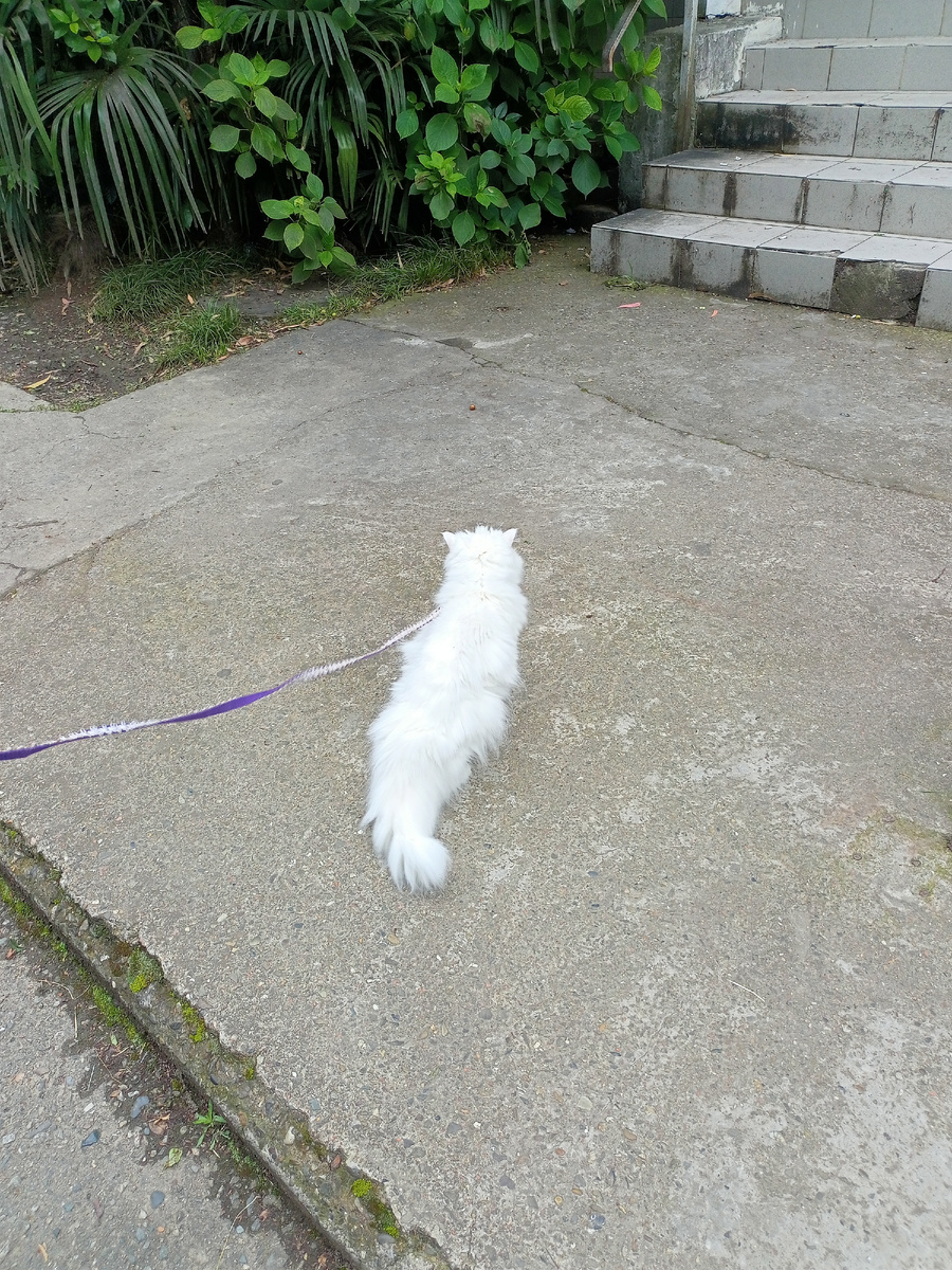 Фото автора.Вот такая она, недовольная Валюта.