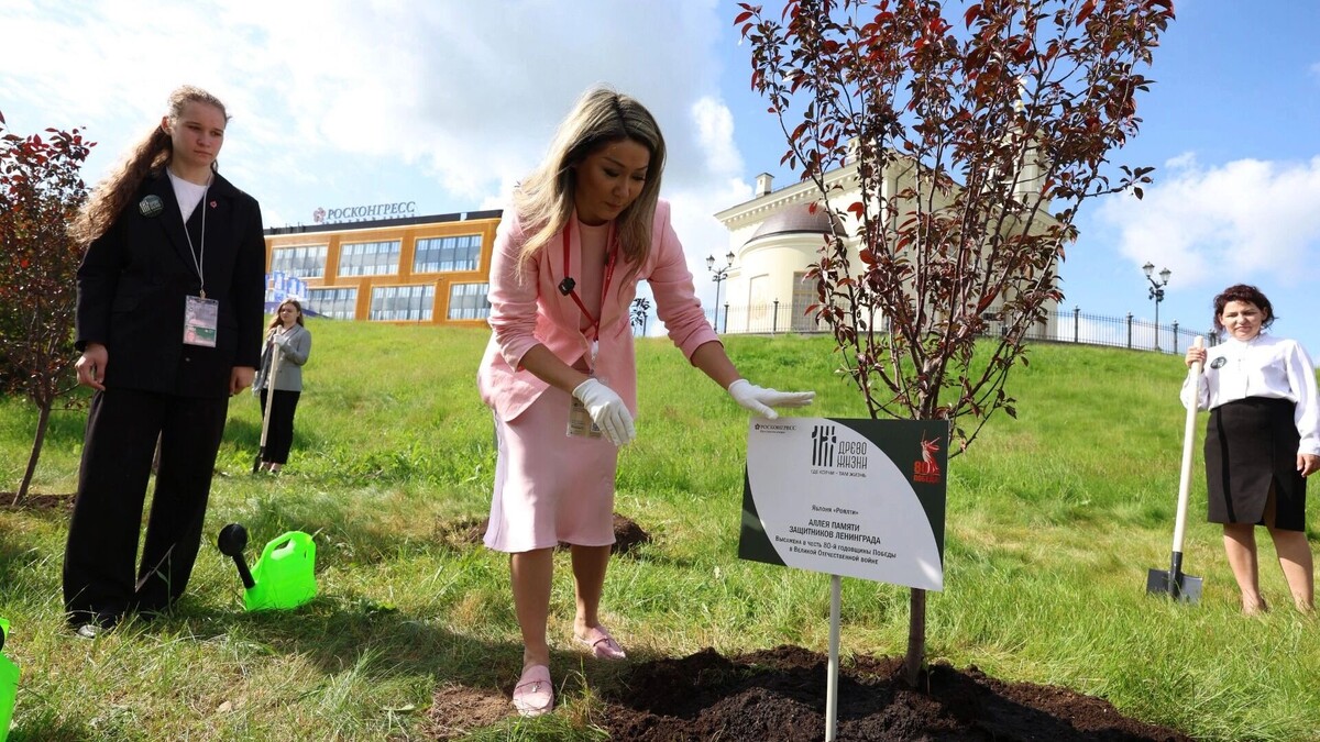     Источник: МАЕР