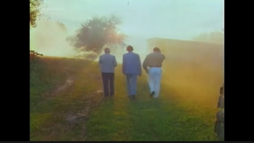 Красота какая...