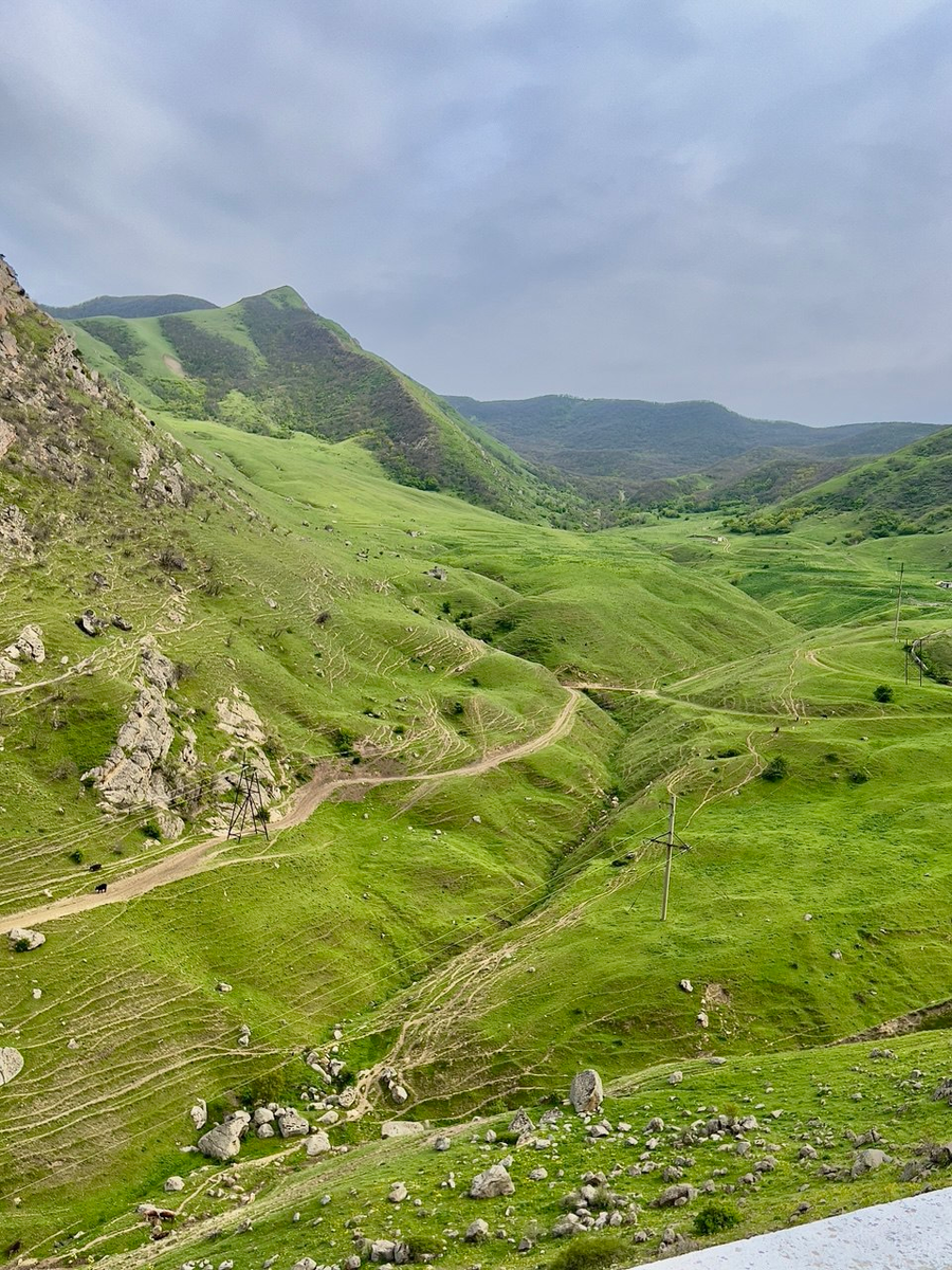 (фото автора)