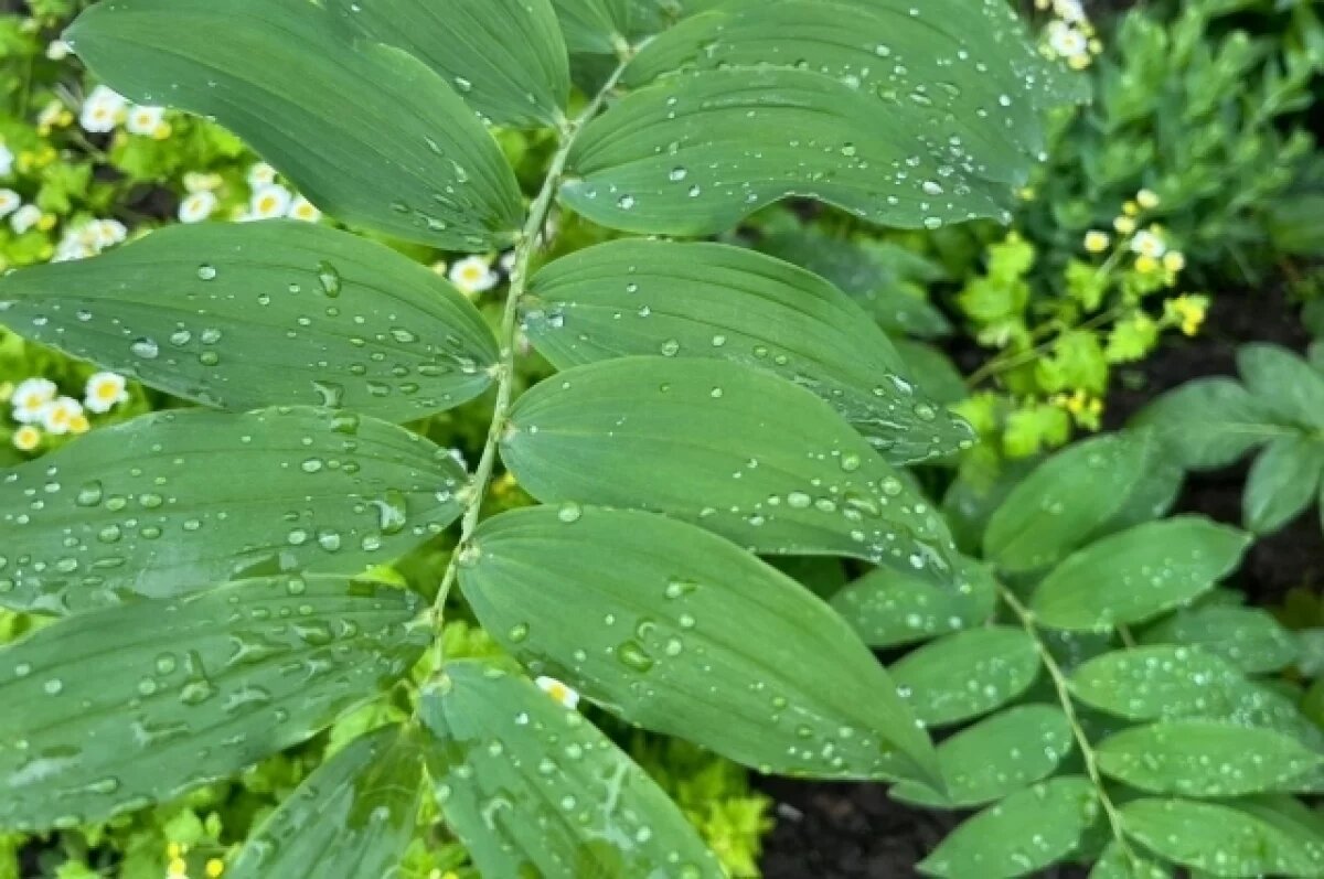    В Тульскую область пришла сентябрьская погода