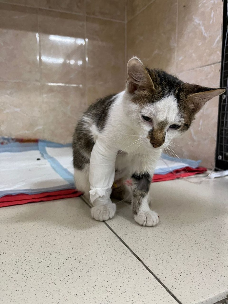 Малышке дали имя Майя