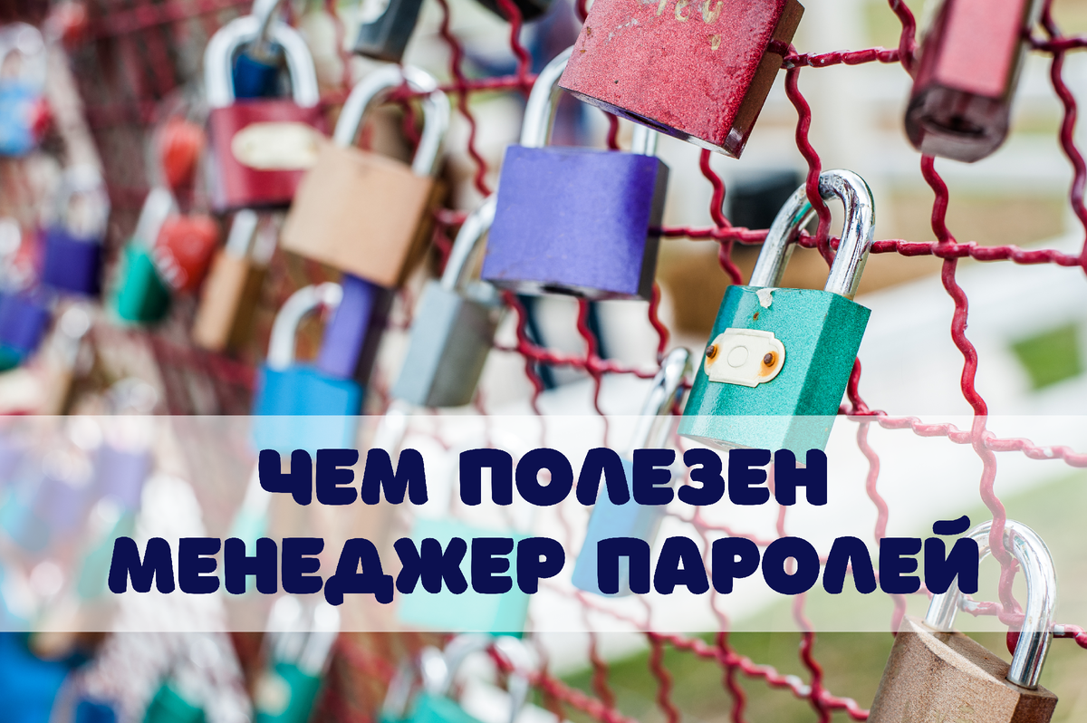 Фото: Vasin Lee / Shutterstock