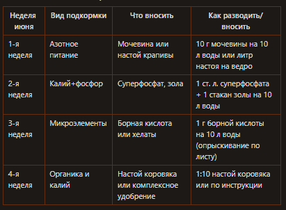 Подкормки в июне