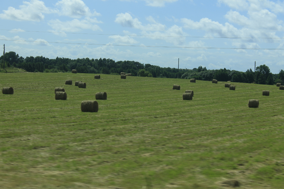 По дороге в Янтарный