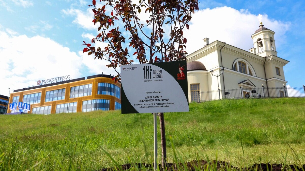     Источник: МАЕР