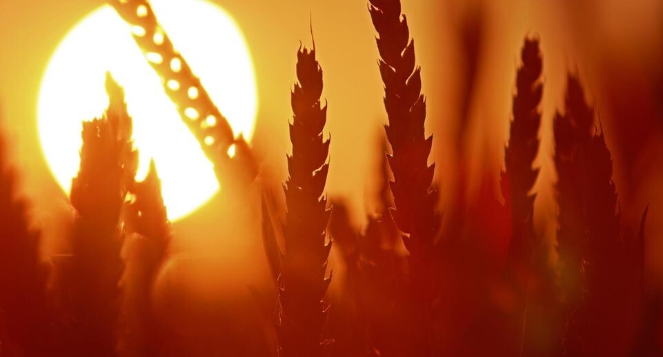    Matthias Bein/dpa / www.globallookpress.com