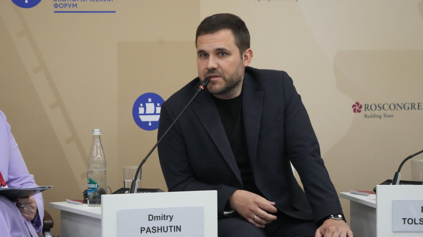    Фото: ИЗВЕСТИЯ/Дмитрий Коротаев; 5-tv.ru