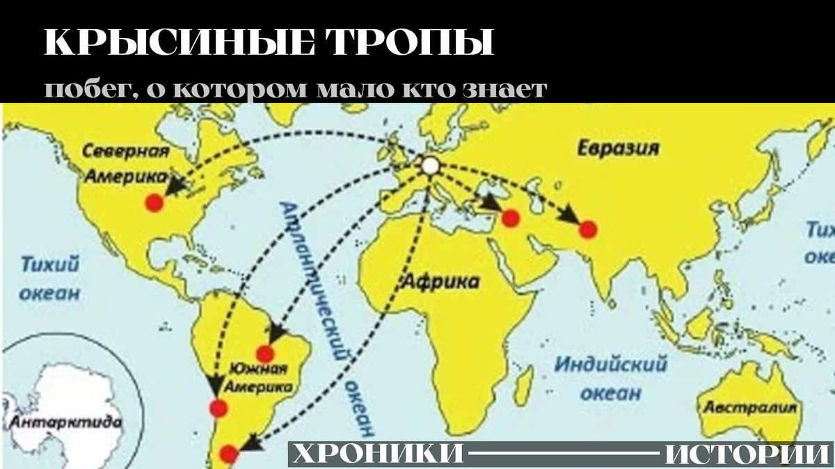 Карта побега нацистов из Европы, так называемые "крысиные тропы"