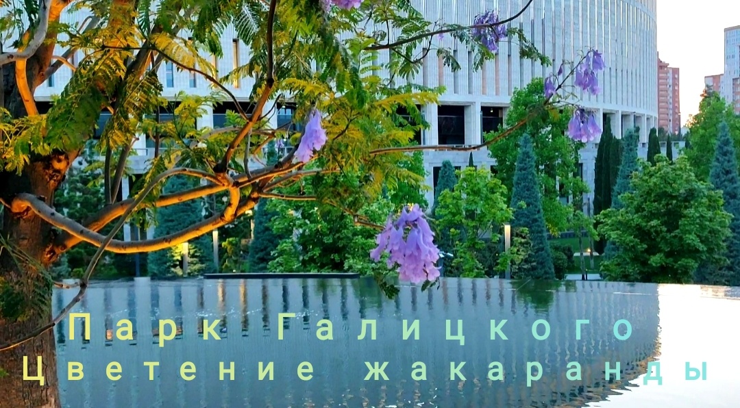 💜🌿🌸🌿💜🌿🌸🌿💜🌿🌸🌿💜