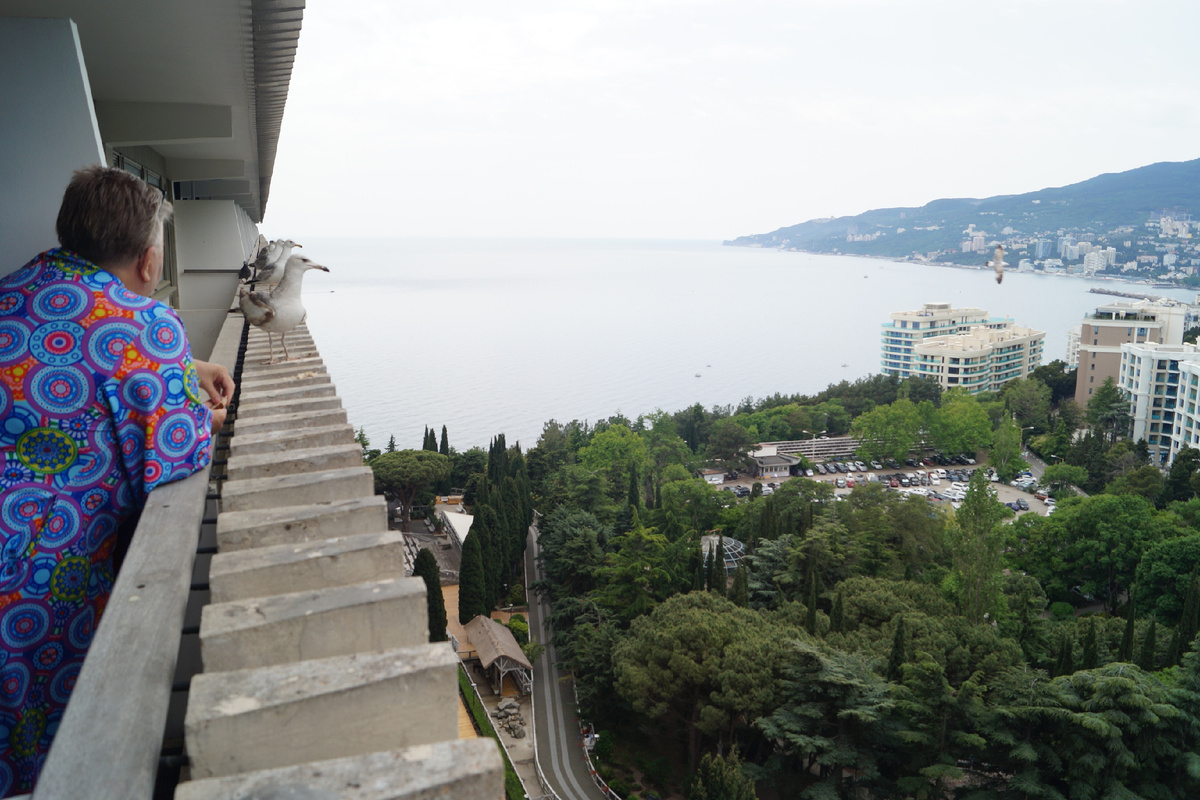 настоящее торжество чаек...