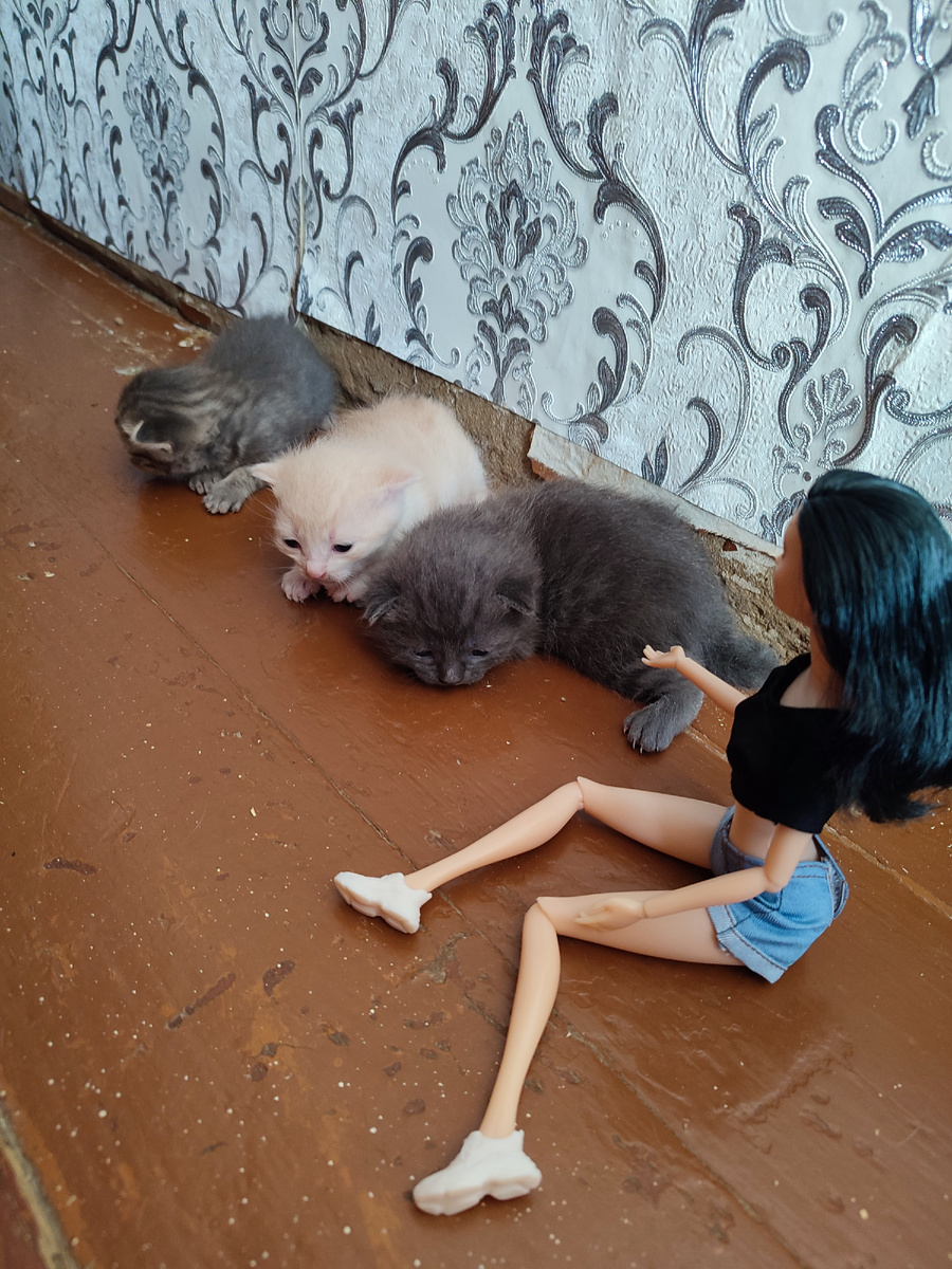 Лежат в ряд, как пирожки😁