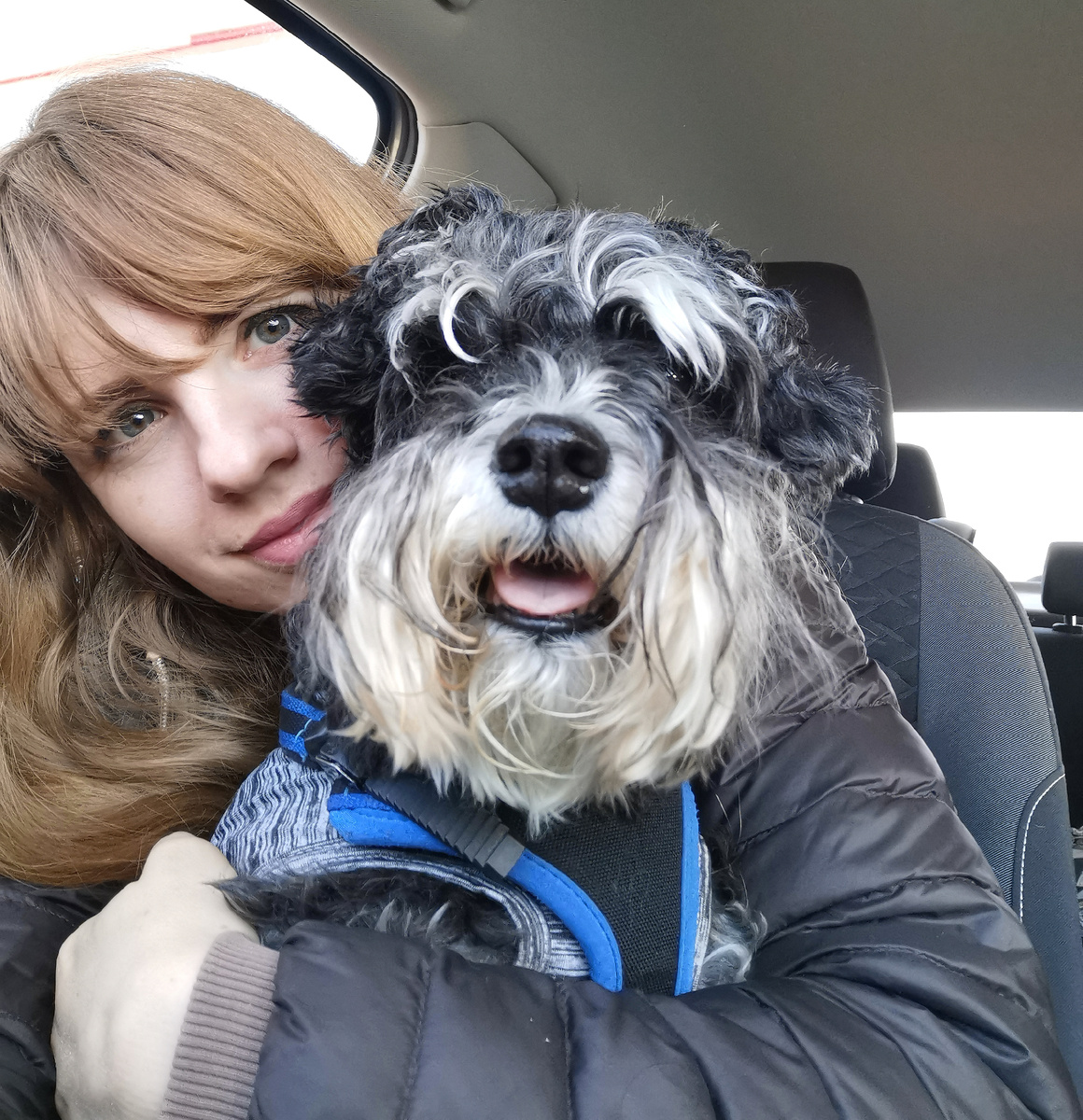 Едем в Великий Новгород 