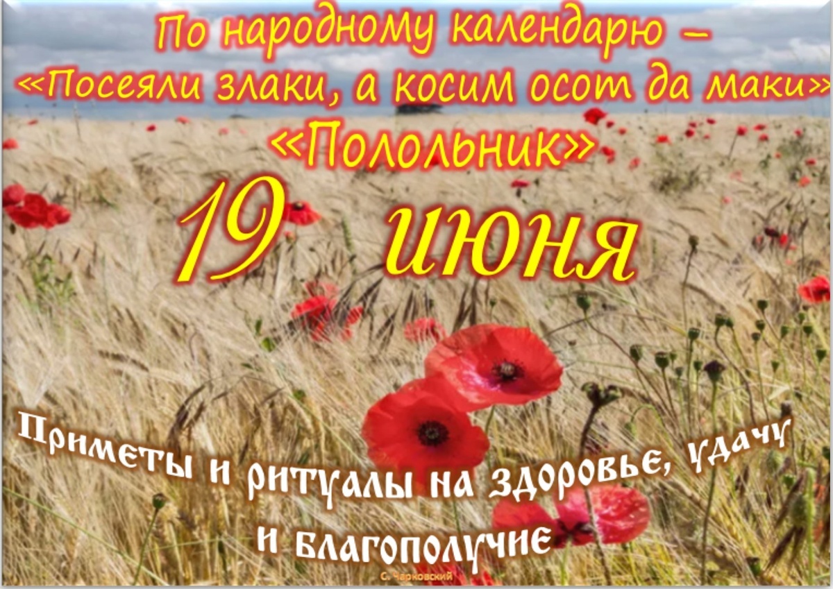 Встречаем новый день