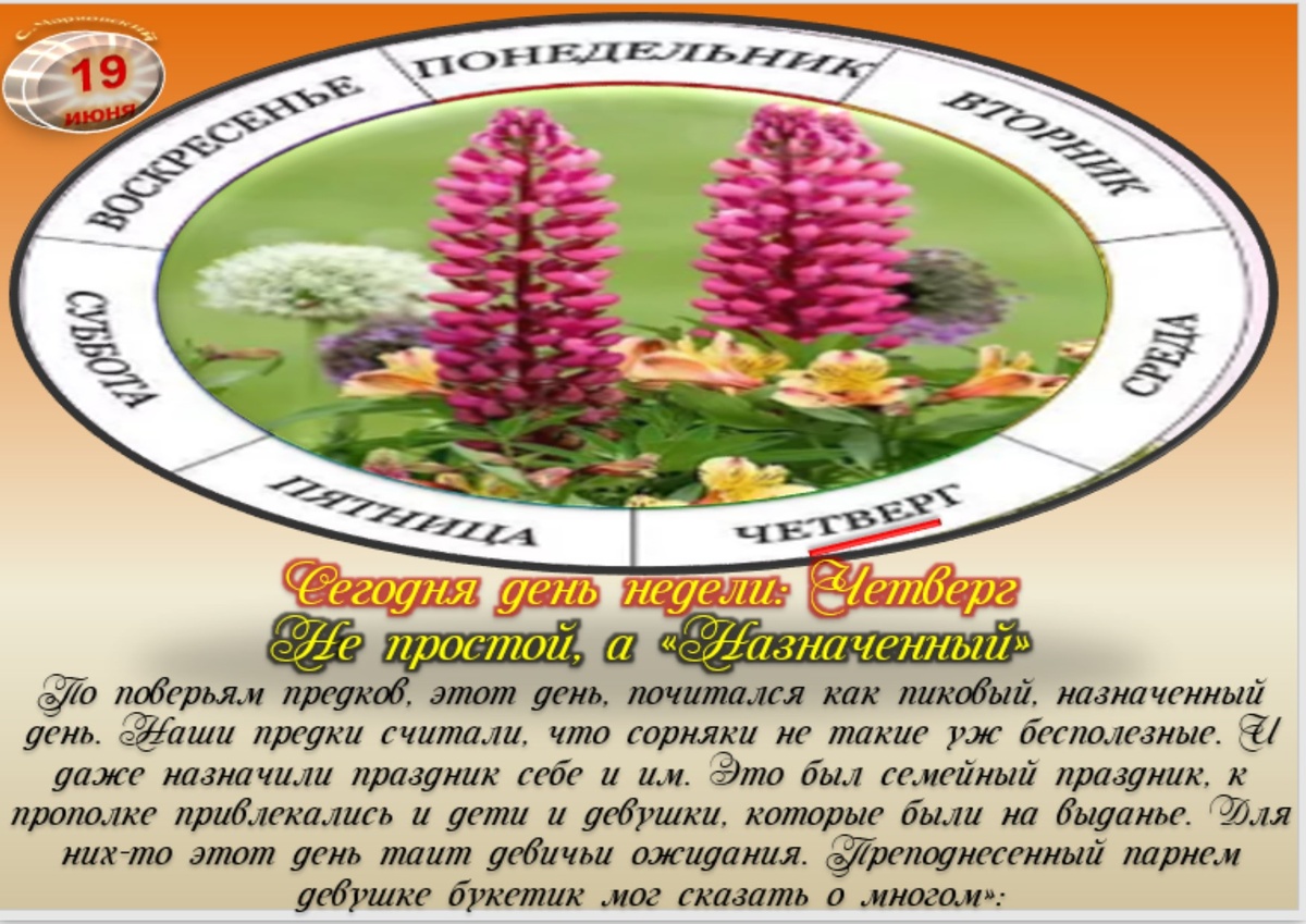Встречаем новый день