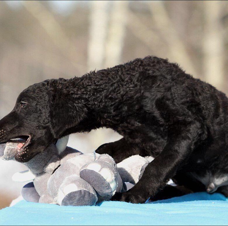 Полезный перекус!