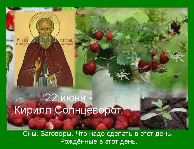 Источник : Яндекс  картинки.