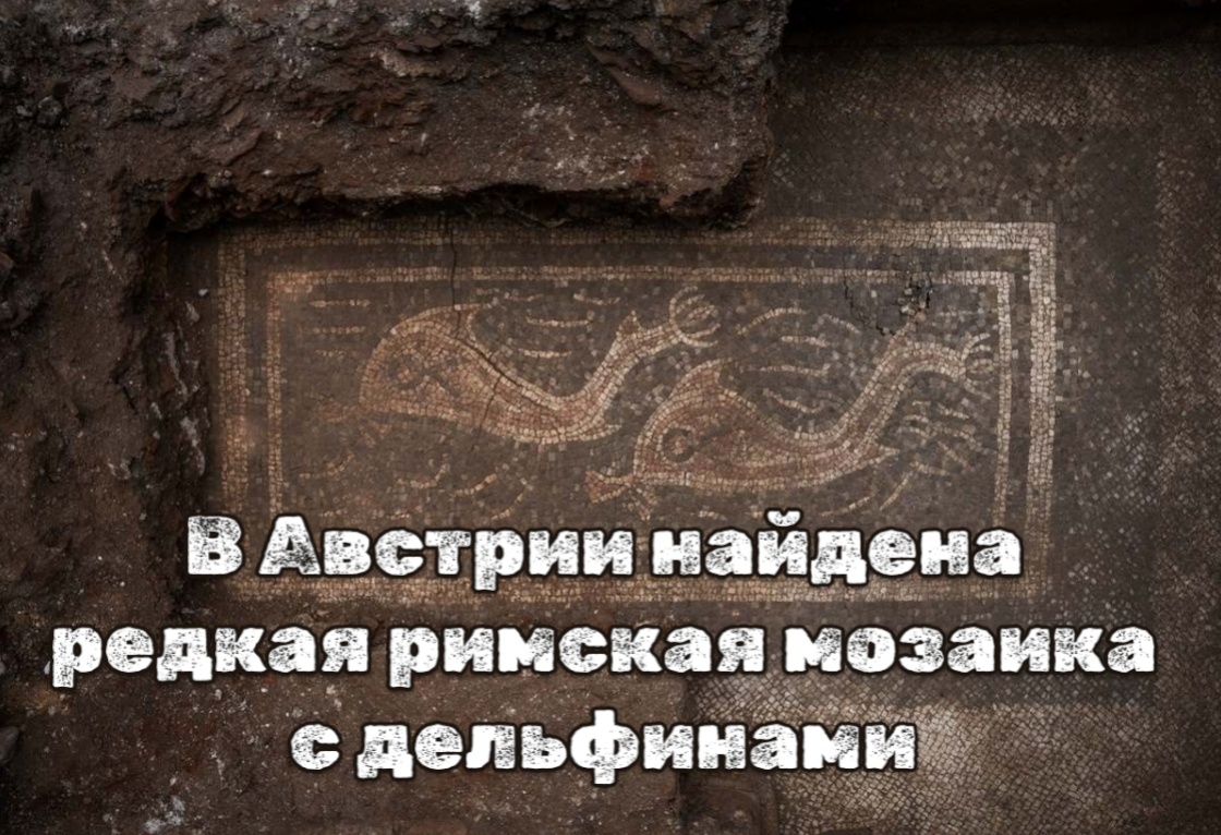 В Австрии найдены редкие римские мозаики с дельфинами