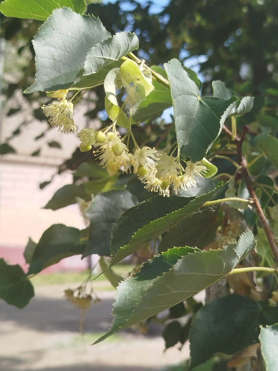 фото автора канала