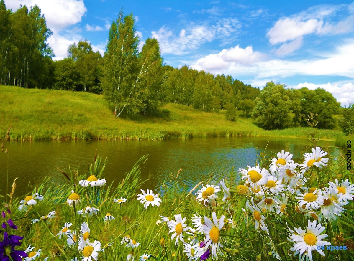 фото из интернета