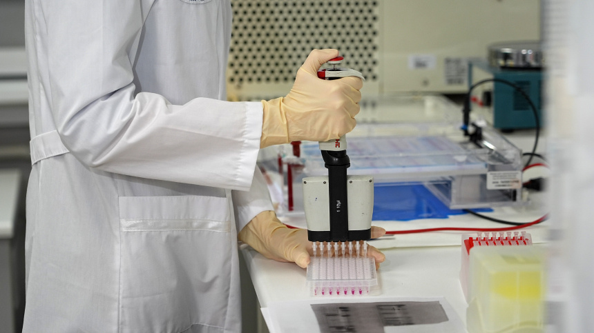    Фото: ИЗВЕСТИЯ/Павел Волков; 5-tv.ru