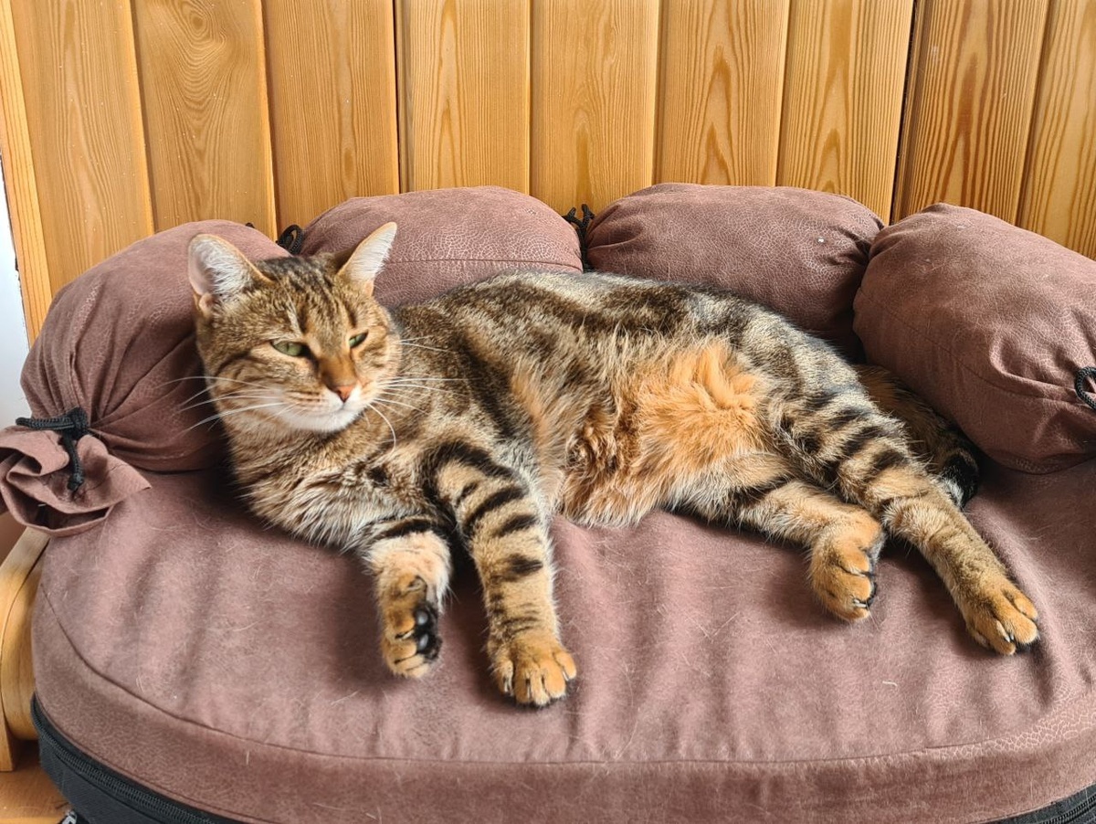 Диванчик оценён по достоинству