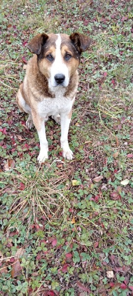 Фото прошлого года