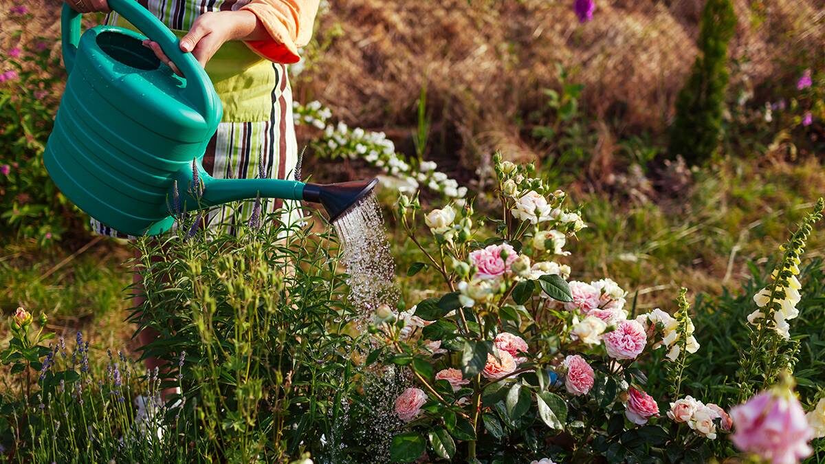    Фото: Shutterstock