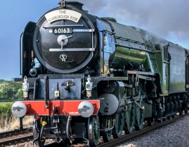 Картинки Яндекса