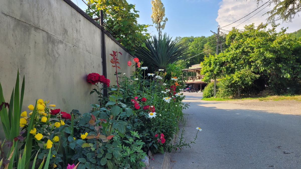 Улицы в Сочи