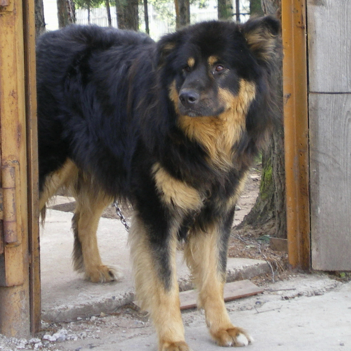 Из архива автора