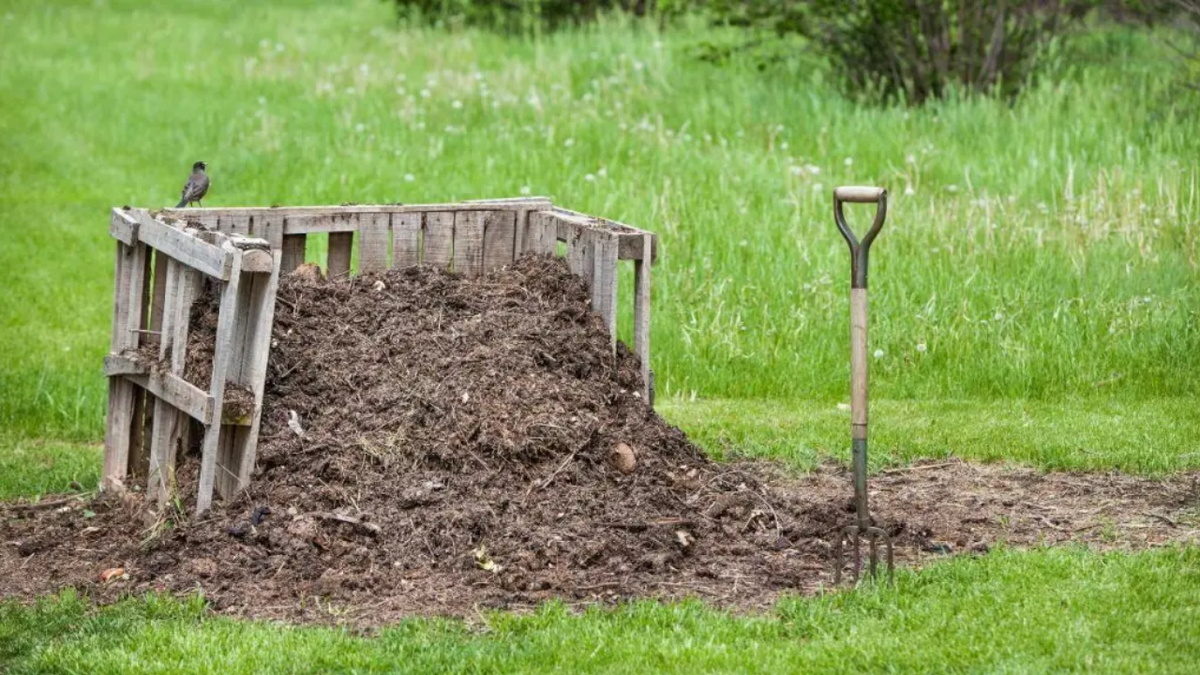 Да хоть так...