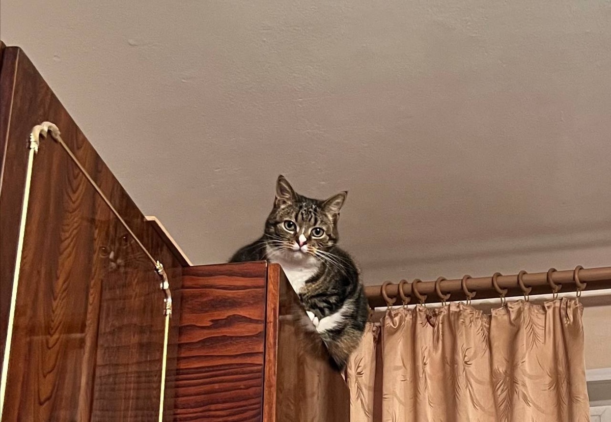 Фото: Neva.Today/Дарья Вовк