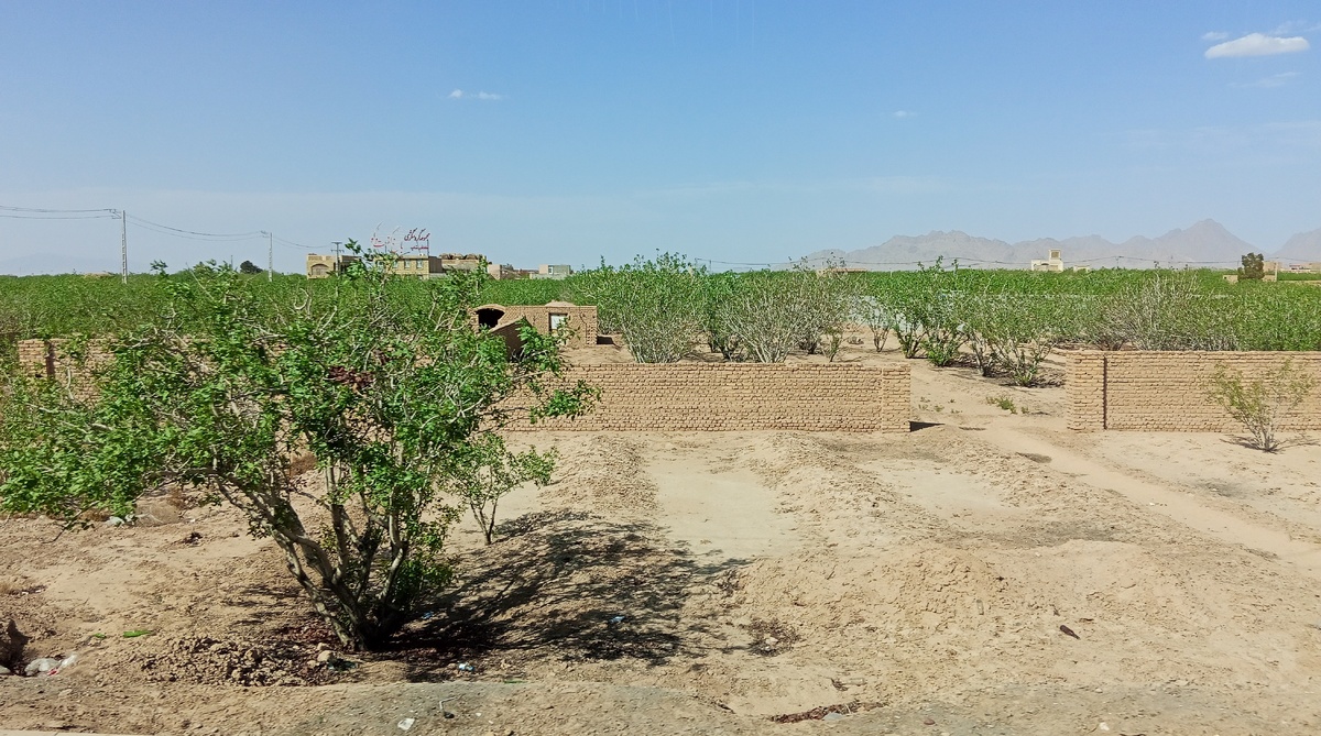 Иран. Апрель 2025. Фото автора