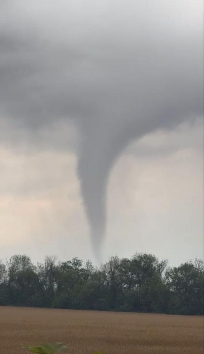 Источник фото: Соцсети
