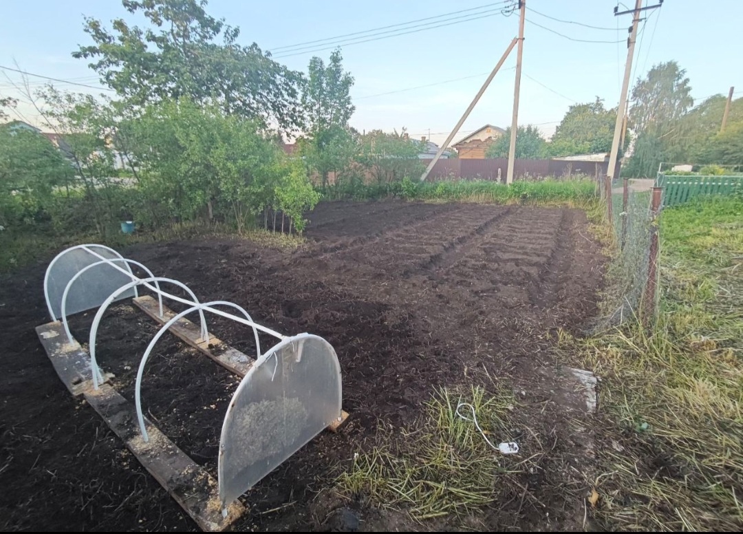 Скриншот автора.