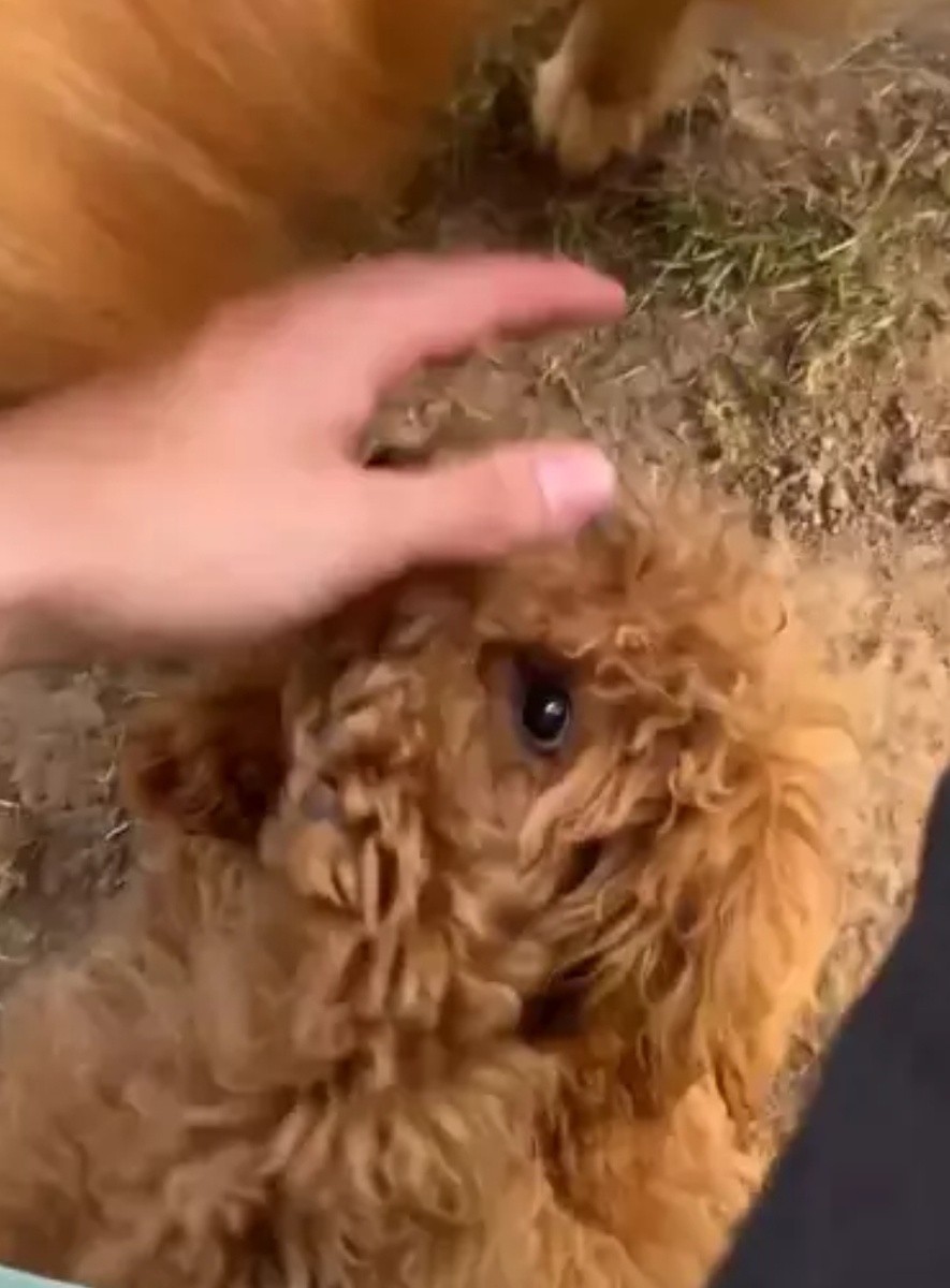 Фото взято в качестве иллюстрации. Источник: "Яндекс картинки"