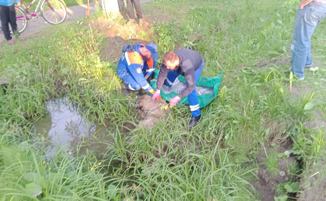    © Аварийно-спасательная служба Ленинградской области