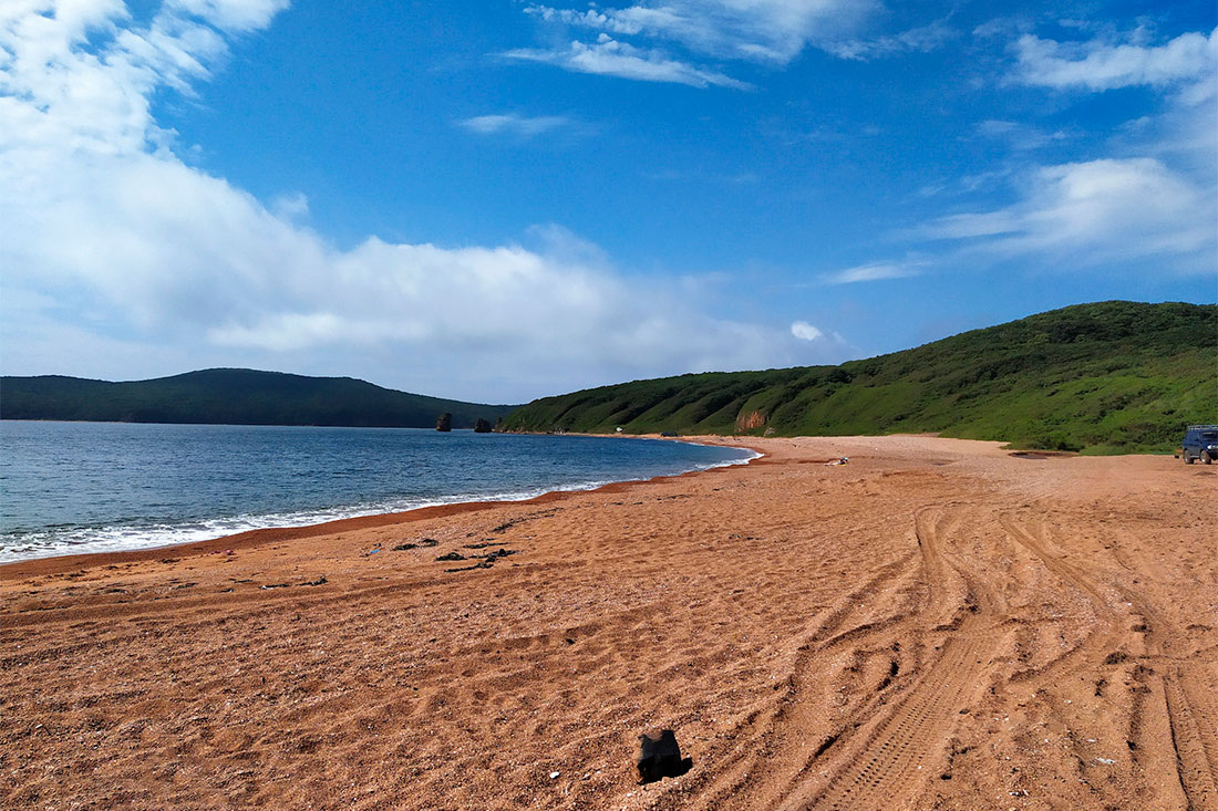 Фото: Яндекс Картинки