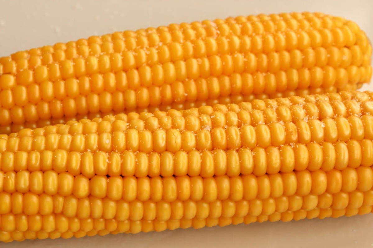 Царица полей - кукуруза!Как варить и что приготовить? История, польза, рецепты и интересные факты.