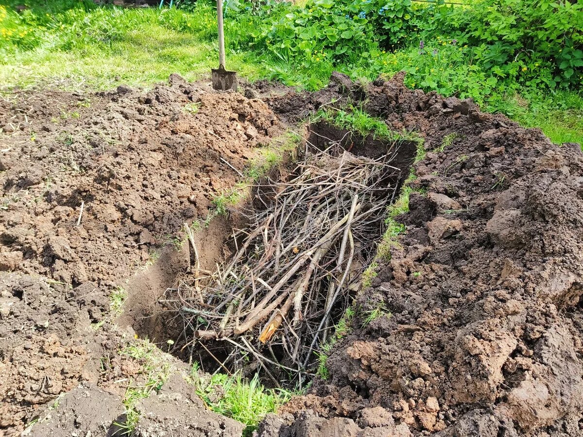 фото Светы Давыдовой