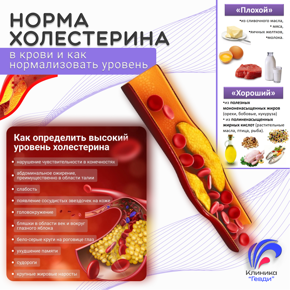 Норма Холестерина в крови и как ее нормализовать