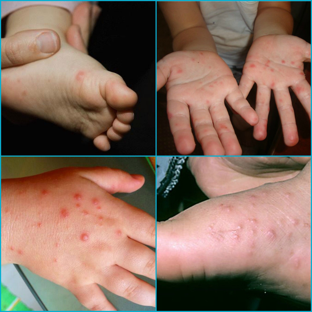 *фото взято из Интернета 